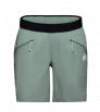 Къси панталони Mammut Aenergy SO Shorts W's