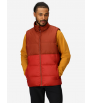 Marmot Guides Down Vest M's